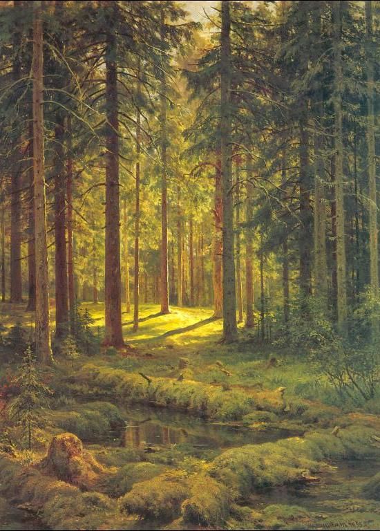 Ivan Shishkin Coniferous Forest, Sunny Day